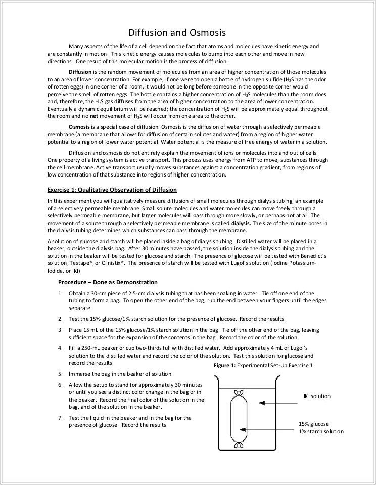 Middle School Diffusion Worksheet