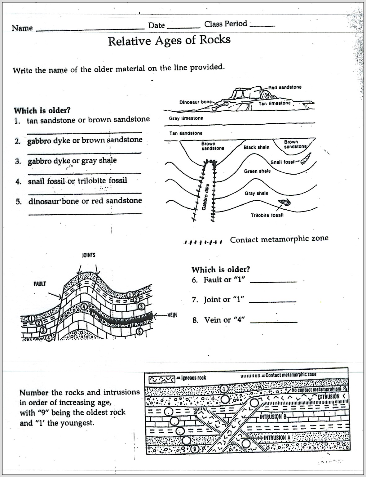 Middle School Fossils Worksheet