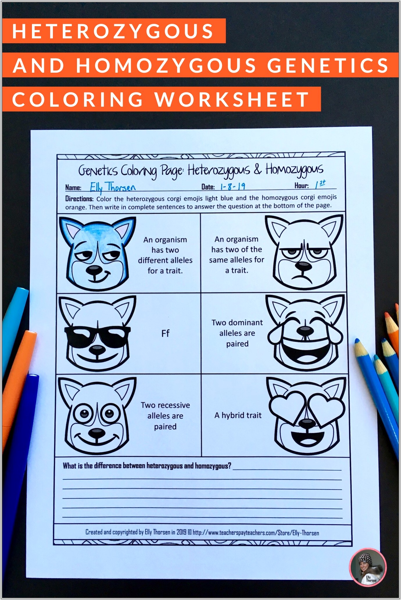 Middle School Genetics Worksheet