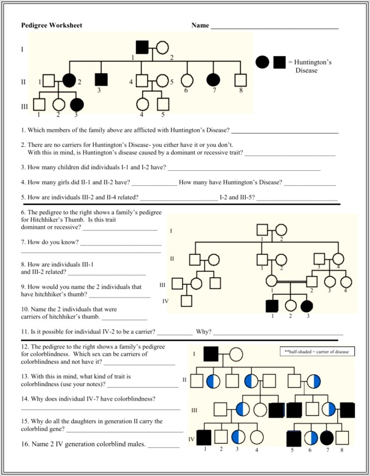 Middle School Pedigree Worksheet