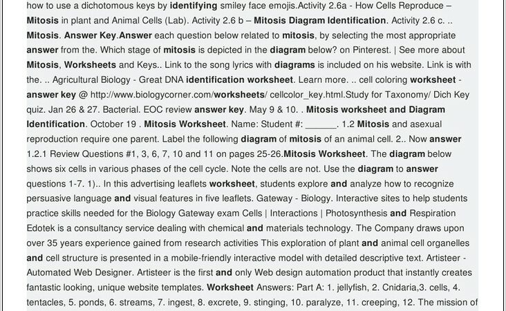 Mitosis Worksheet And Diagram Identification Answer Key