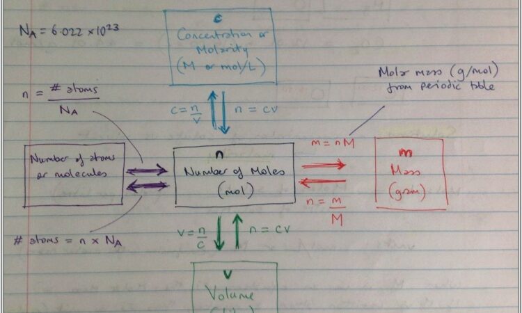 Mole Map Worksheet Answers