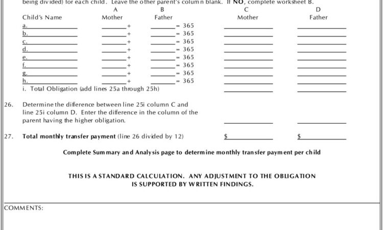 Montana Child Support Worksheet B