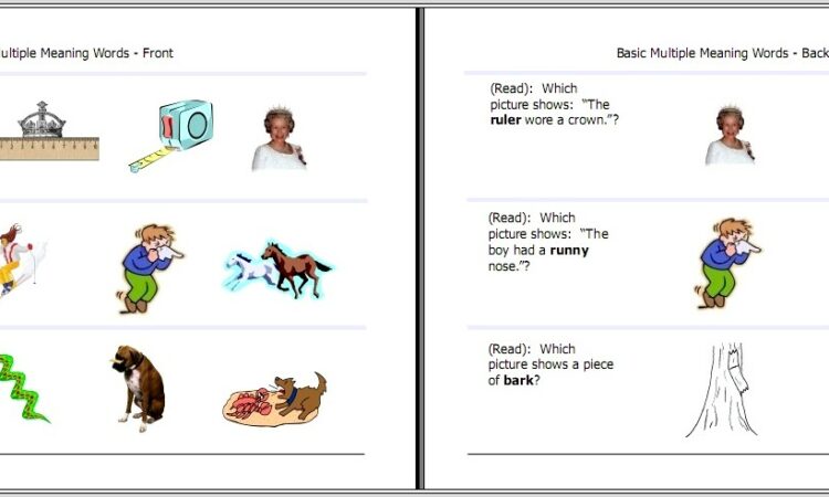 Multiple Meaning Words Worksheets Primary