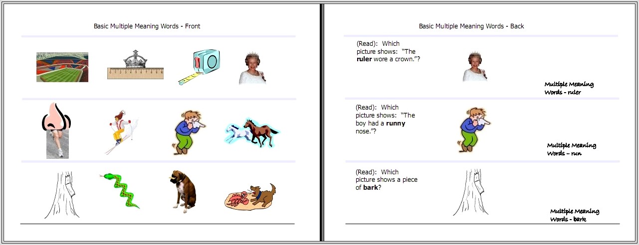 Multiple Meaning Words Worksheets Primary