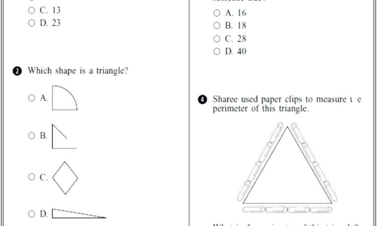 Multiplying Decimals Word Problems Worksheets 5th Grade