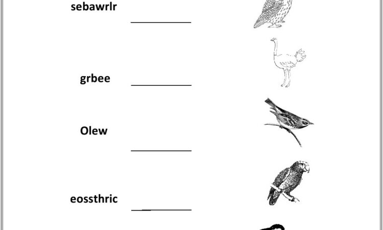 Naming Word Worksheet For Grade 2