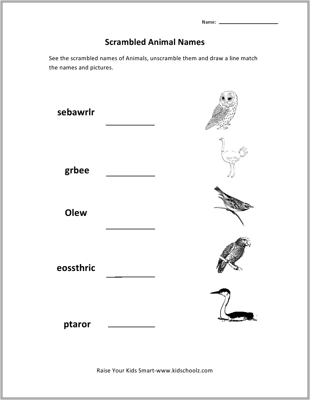 Naming Word Worksheet For Grade 2