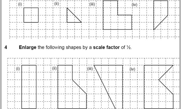 Negative Number Questions Worksheet