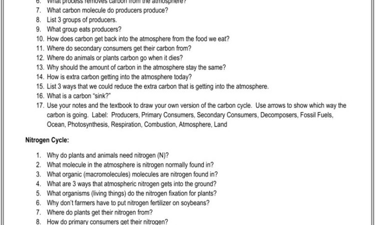 Nitrogen Cycle Worksheet Answers