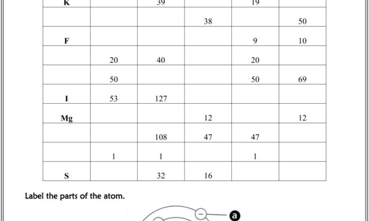 Nitrogen Cycle Worksheet Pogil