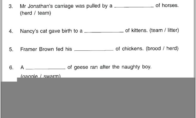 Noun Worksheets For Grade 5 With Answers