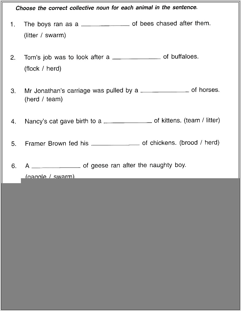 Noun Worksheets For Grade 5 With Answers