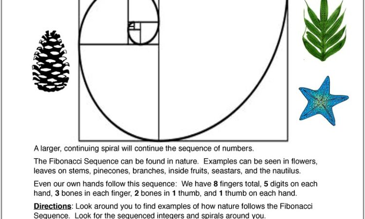 Number Patterns In Nature Worksheet