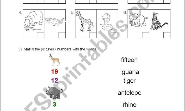 Numbers Worksheet For Esl