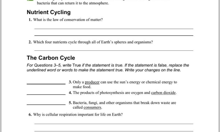 Nutrient Cycle Worksheet Answers