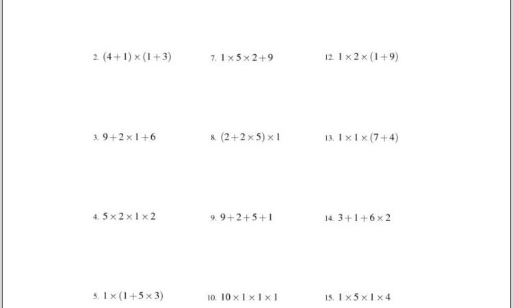 Order Of Operations And Integers Worksheet