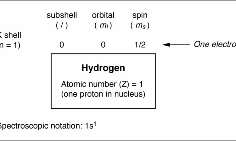 Periodic Table Overview Worksheet