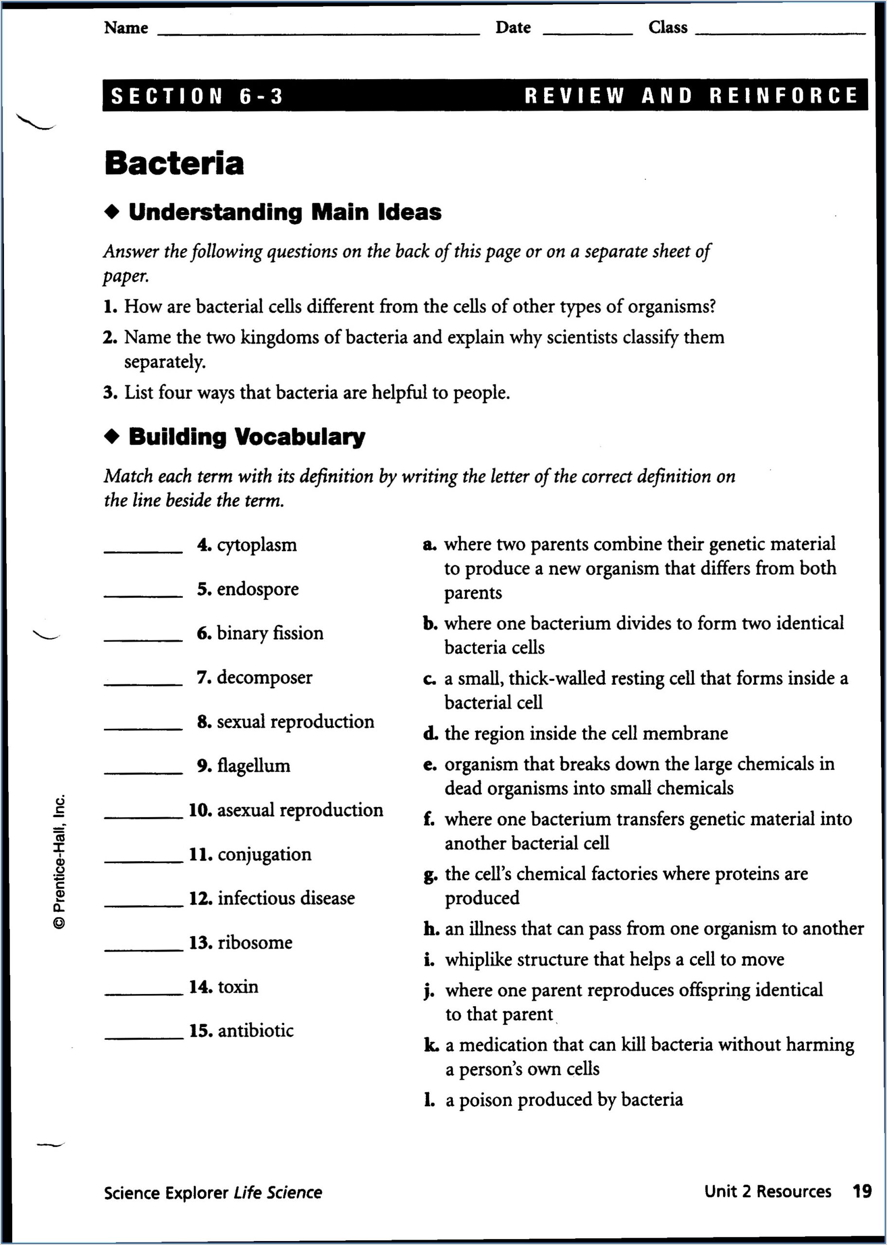 Periodic Table Puns Worksheet