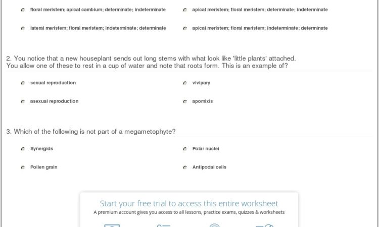 Plants Cycle Life Worksheet