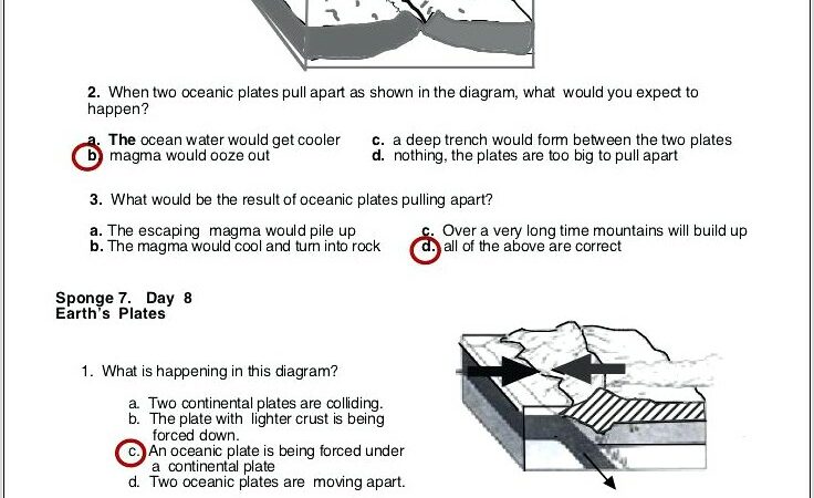 Plate Tectonics Esrt Worksheet