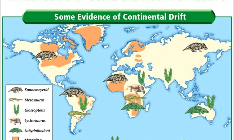 Plate Tectonics Fossil Evidence Worksheet