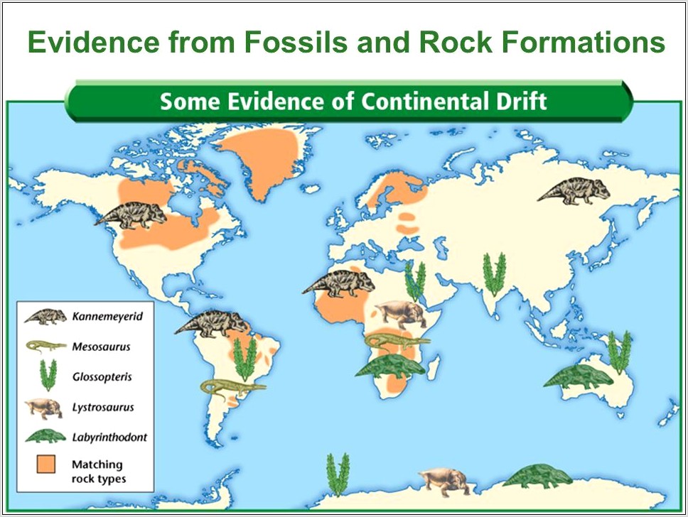 Plate Tectonics Fossil Evidence Worksheet