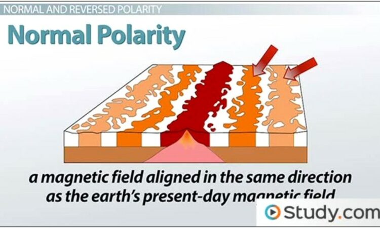 Plate Tectonics Paleomagnetism Worksheet