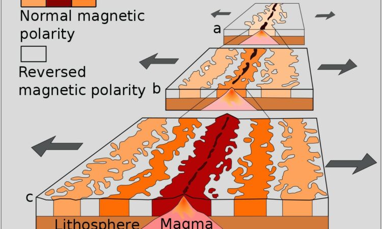 Plate Tectonics Paleomagnetism Worksheet Answers