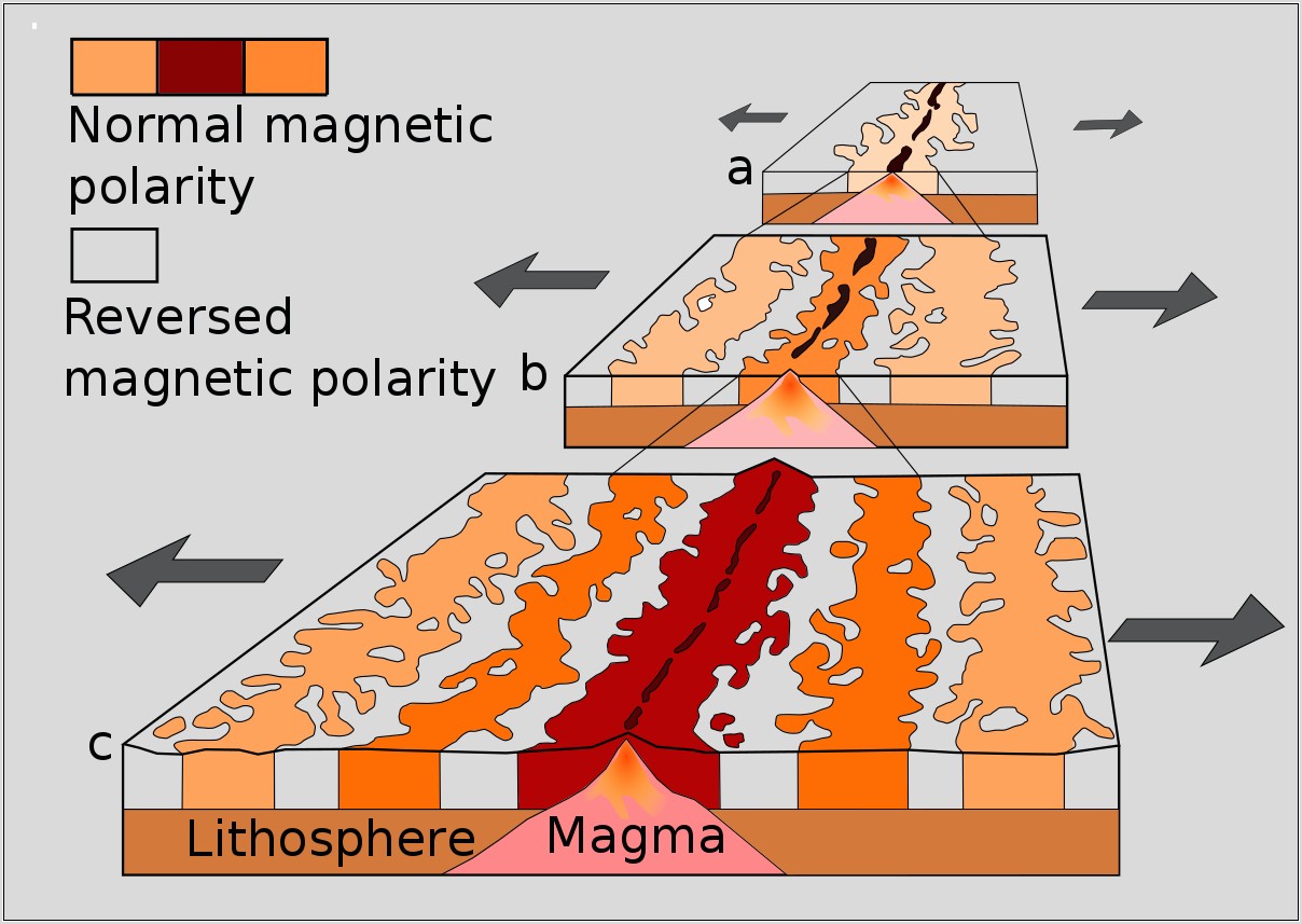 Plate Tectonics Paleomagnetism Worksheet Answers