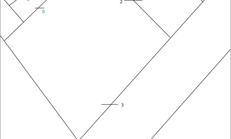 Plate Tectonics Worksheets 7th Grade