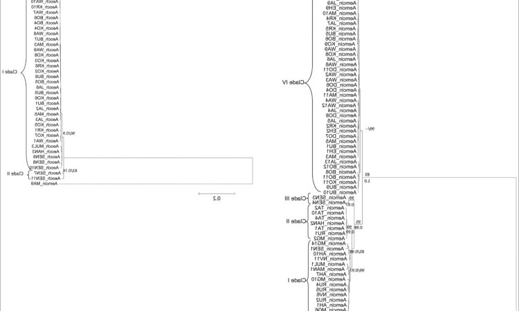 Population Density Ecology Worksheet