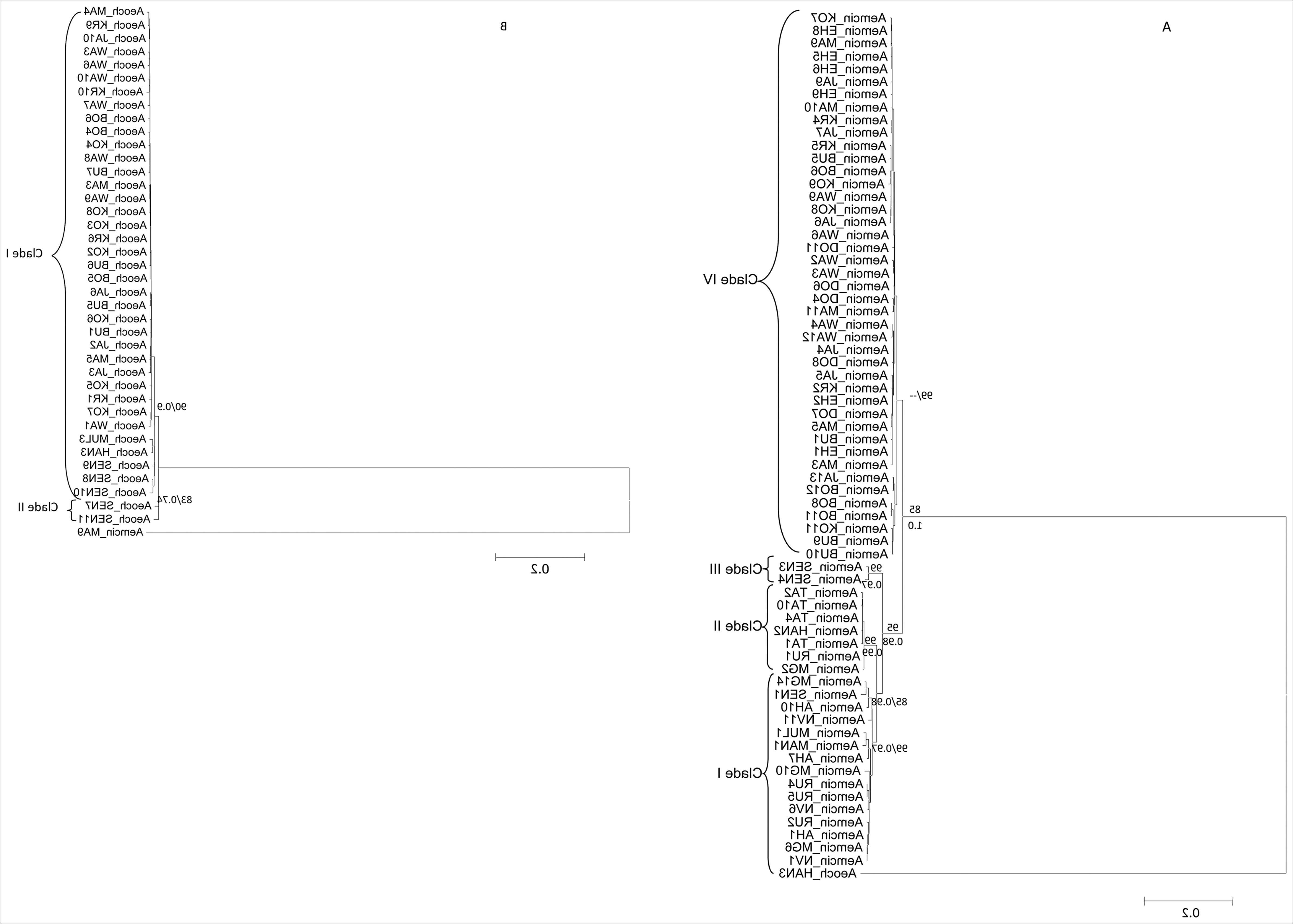 Population Density Ecology Worksheet