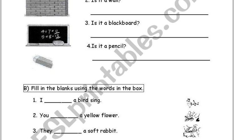 Primary School English Worksheet