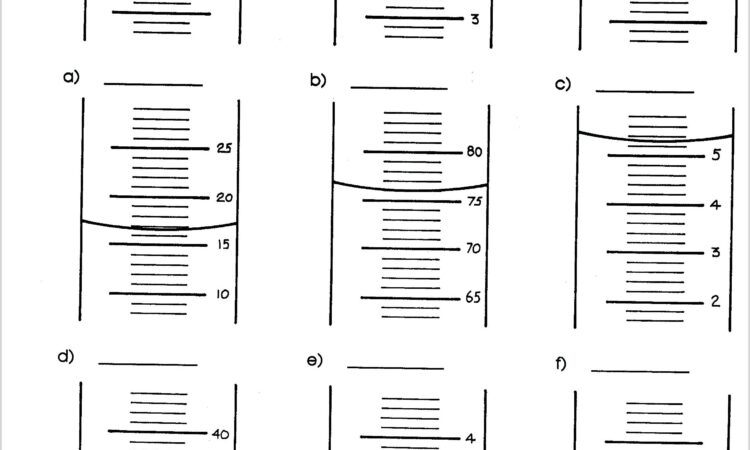 Primary School Mathematics Worksheet