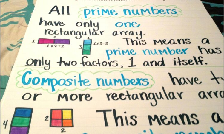 Prime Or Composite Number Worksheet