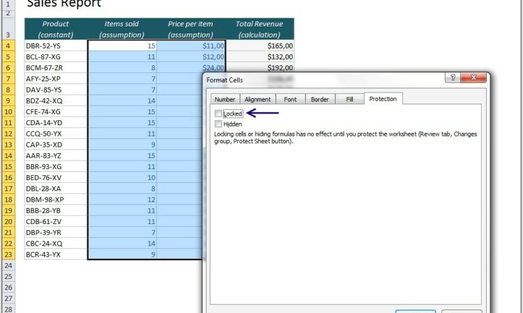 Protect Cells In Worksheet Excel 2007