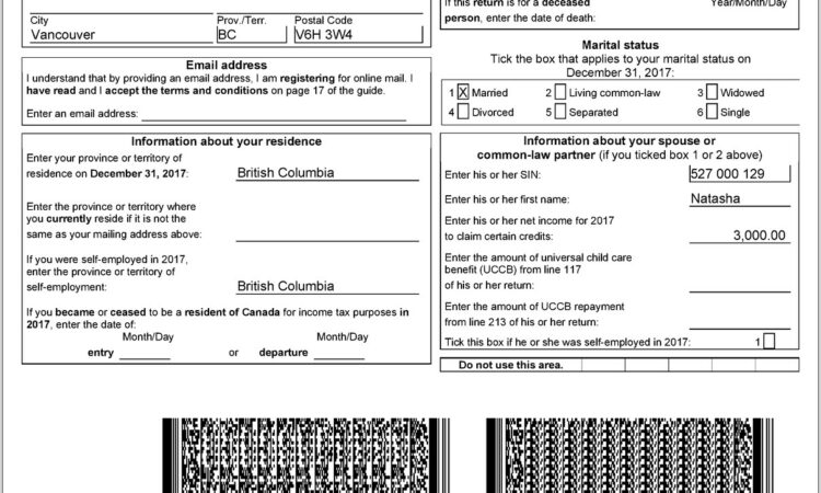 Provincial Sales Tax Worksheet Bc