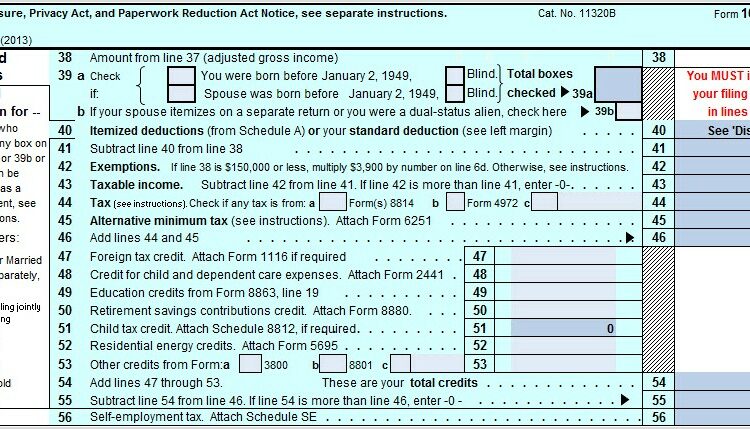 Qualified Dividends And Capital Gains Worksheet Excel