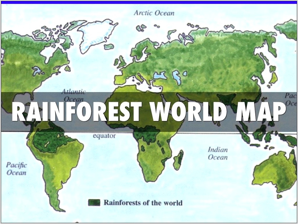 Rainforest Map Worksheet Ks2