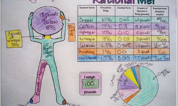 Rational Number Project Worksheets