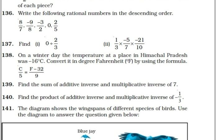 Rational Numbers 8th Class Worksheet