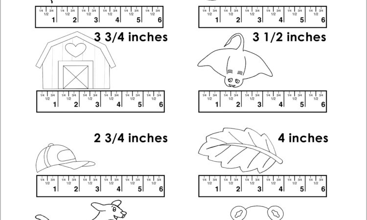 Reading A Standard Ruler Worksheet Answers