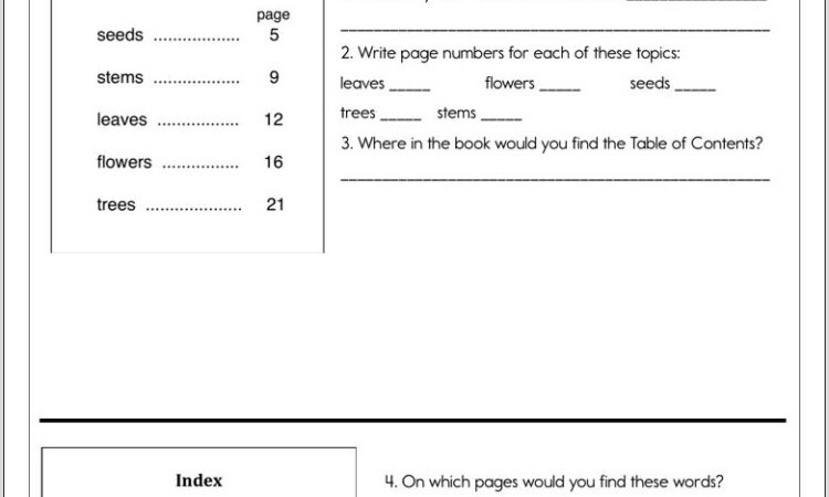 Reading An Index Worksheet