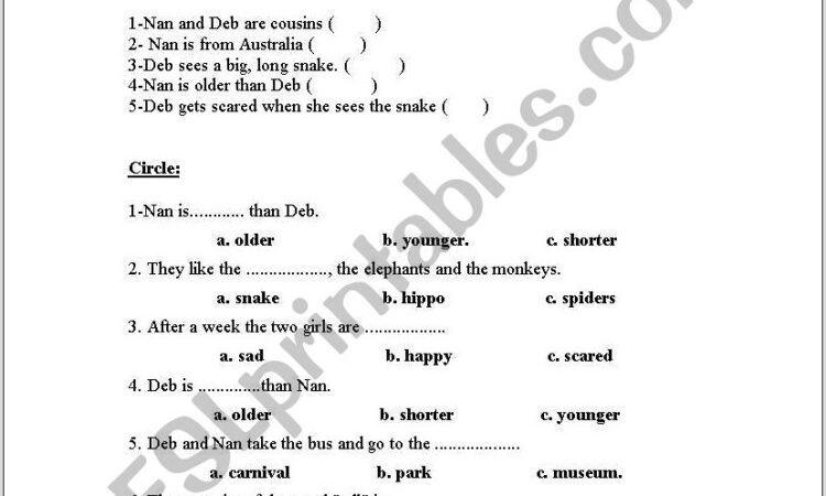 Reading Comprehension Worksheet Grade 5