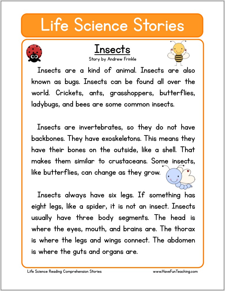Reading Comprehension Worksheet On Spiders