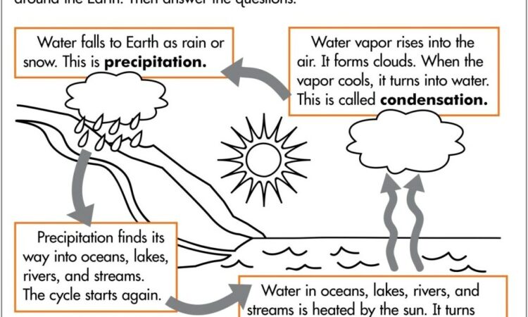 Reading Comprehension Worksheet On Water Cycle