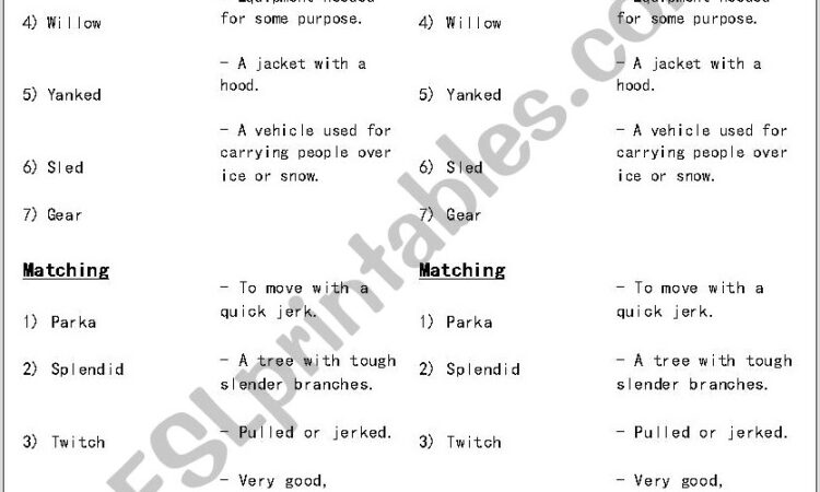 Reading Street Vocabulary Worksheet