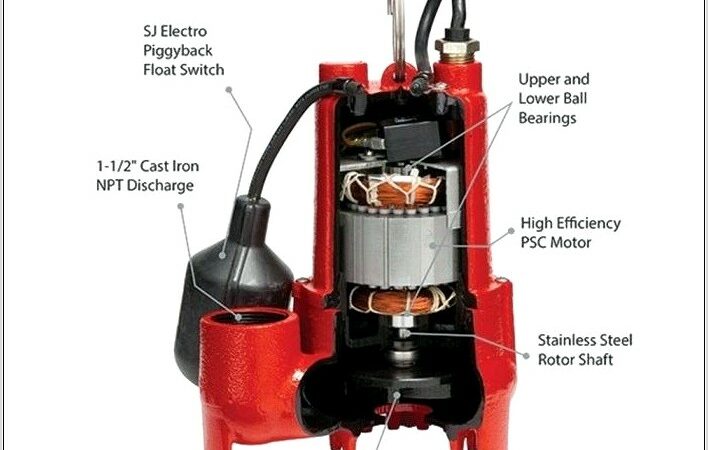 Red Lion Pump Wiring Diagram