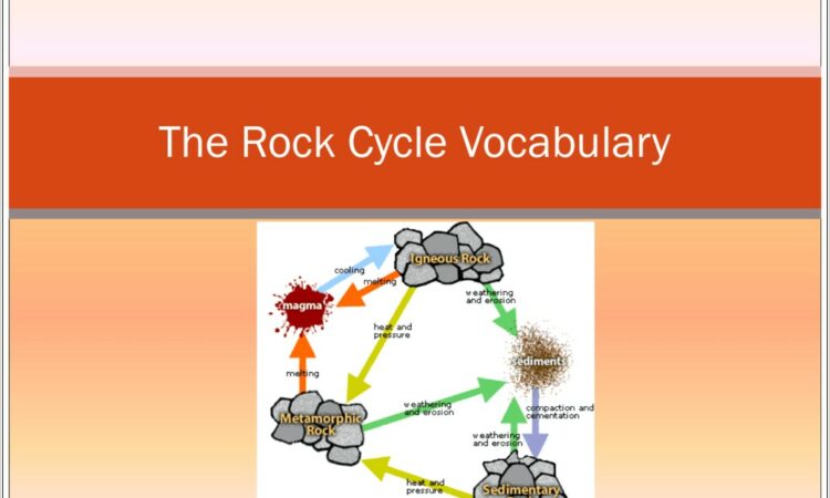 Rock Cycle Vocab Worksheet